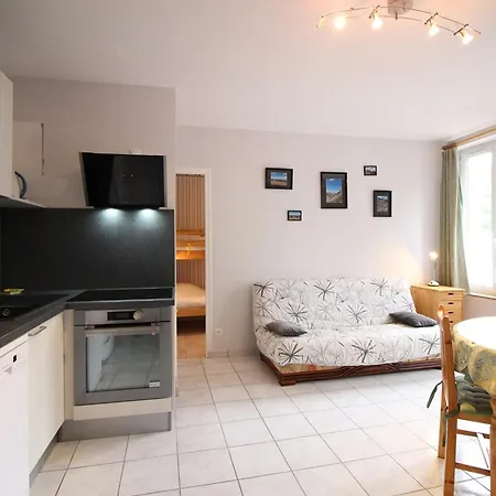 Appartement F2 bis de 50m² au centre, 4 pers., animaux admis, WiFi - FR-1-415-178 Апартаменты *