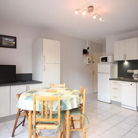 F2 Bis De 50m² Au Centre, 4 Pers., Animaux Admis, Wifi Le Mont-Dore