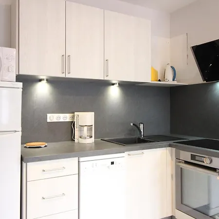 F2 Bis De 50m² Au Centre, 4 Pers., Animaux Admis, Wifi Le Mont-Dore