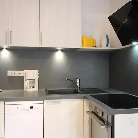 F2 Bis De 50m² Au Centre, 4 Pers., Animaux Admis, Wifi - Fr-1-415-178 * Le Mont-Dore