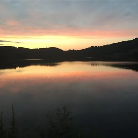 Appartement F2 bis de 50m² au centre, 4 pers., animaux admis, WiFi - FR-1-415-178