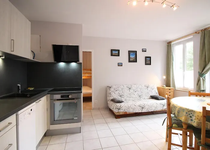 F2 Bis De 50m² Au Centre, 4 Pers., Animaux Admis, Wifi - Fr-1-415-178 Apartment *