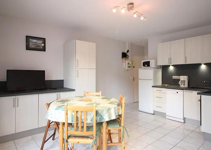 F2 Bis De 50m² Au Centre, 4 Pers., Animaux Admis, Wifi - Fr-1-415-178 Le Mont-Dore