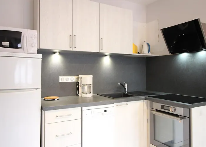 F2 Bis De 50m² Au Centre, 4 Pers., Animaux Admis, Wifi - Fr-1-415-178 Le Mont-Dore