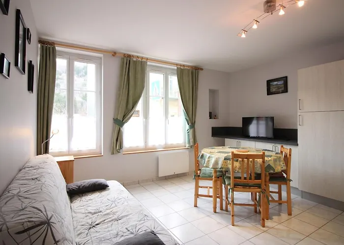 Apartment F2 Bis De 50m² Au Centre, 4 Pers., Animaux Admis, Wifi - Fr-1-415-178 Le Mont-Dore