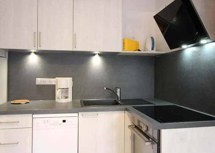 F2 Bis De 50m² Au Centre, 4 Pers., Animaux Admis, Wifi - Fr-1-415-178 * Le Mont-Dore