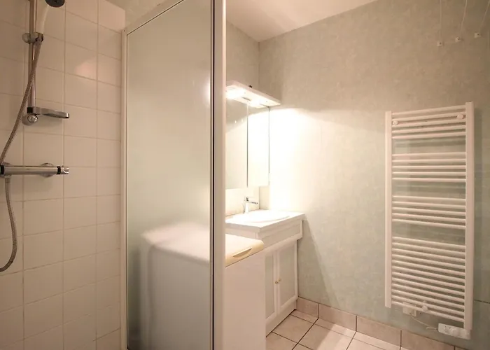 Apartment F2 Bis De 50m² Au Centre, 4 Pers., Animaux Admis, Wifi - Fr-1-415-178 *