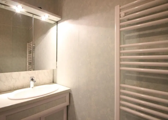 F2 Bis De 50m² Au Centre, 4 Pers., Animaux Admis, Wifi - Fr-1-415-178 *