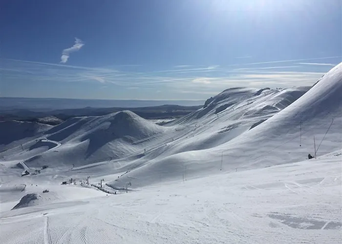 Apartment F2 Bis De 50m² Au Centre, 4 Pers., Animaux Admis, Wifi - Fr-1-415-178