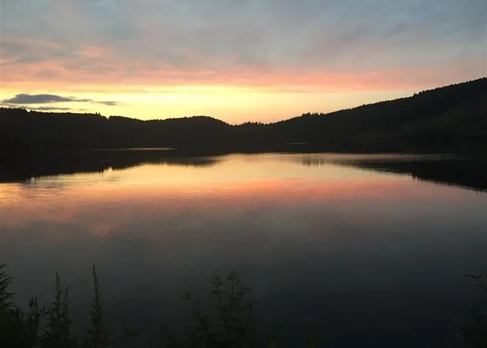 F2 Bis De 50m² Au Centre, 4 Pers., Animaux Admis, Wifi - Fr-1-415-178